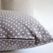 sukan / 1 Cotton Pillow Gray, Decorative Pillow, Throw Pillow Cover, Accent Pillow, Euro Shams, Cushion Cover 12 x 20 Pillows