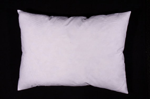 lumbar pillow insert