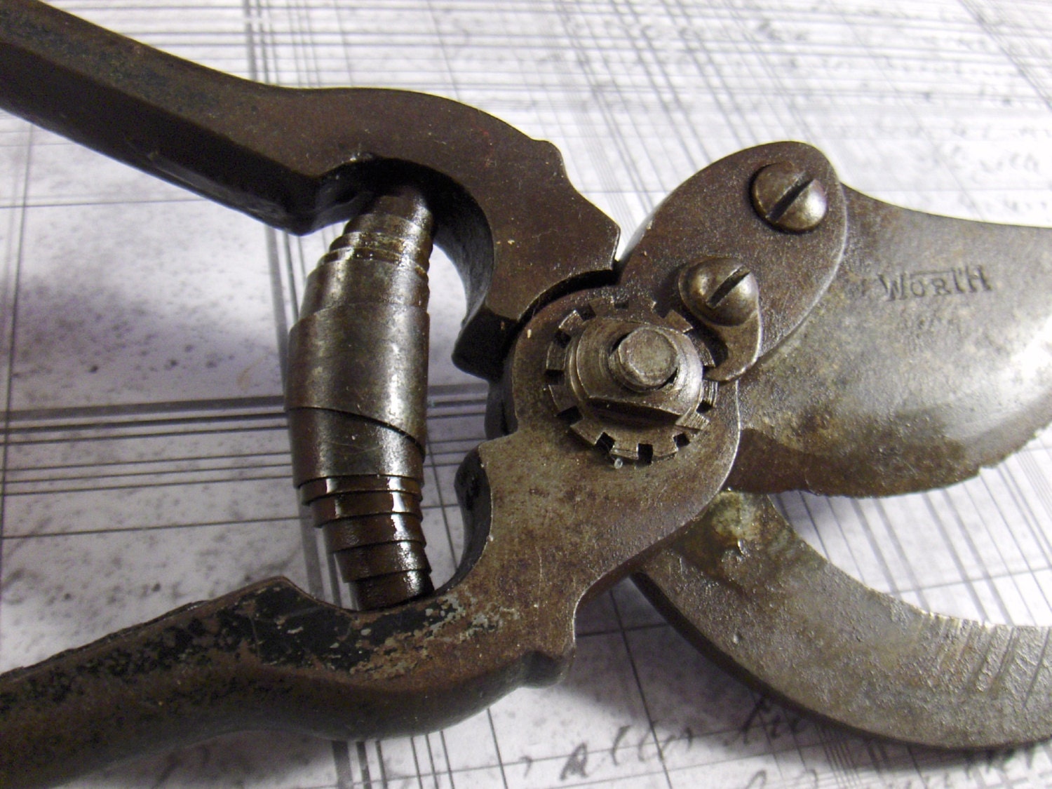 Vintage Garden Snips Tool Cutter by Worth from Converged