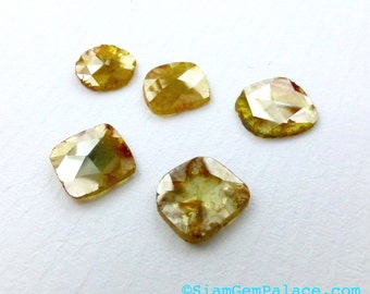 DiAMOND SLiCES. Faceted. Natural. Red / Orange Inclusions on Yellow Body. Free Form. 1 pc. 0.90 cts. 7.2X7.5 mm (Dia272E)