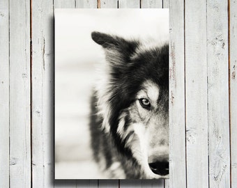 The Wolf Canvas 11x14 in. Wolf decor wolf art wolf