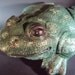 Stone Frog, Weighs over 9lbs., Do Not Let Frog Jump In You Lap