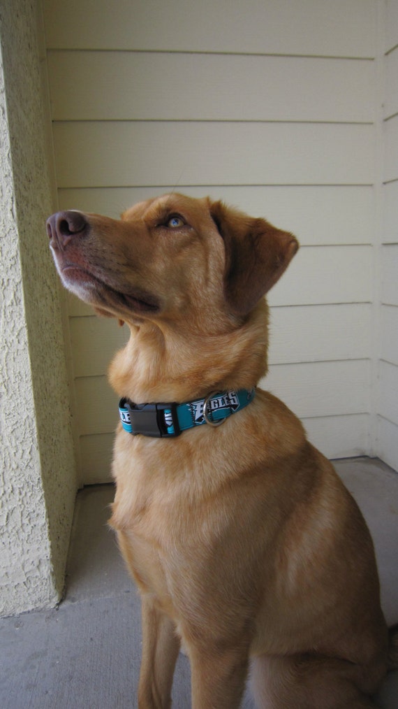 Dog Collar Made from Eagles Football Inspired Ribbon