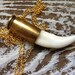 Bullet Necklace - Fang Bone Bullet Layering Necklace - Naturally Collected Coyote Fang Brass Long Chain - Boho, Tribal, Native