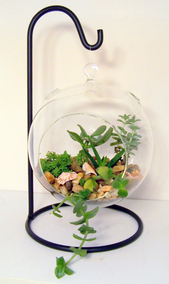 Hanging Glass Terrarium Stand or Ornament Holder made of