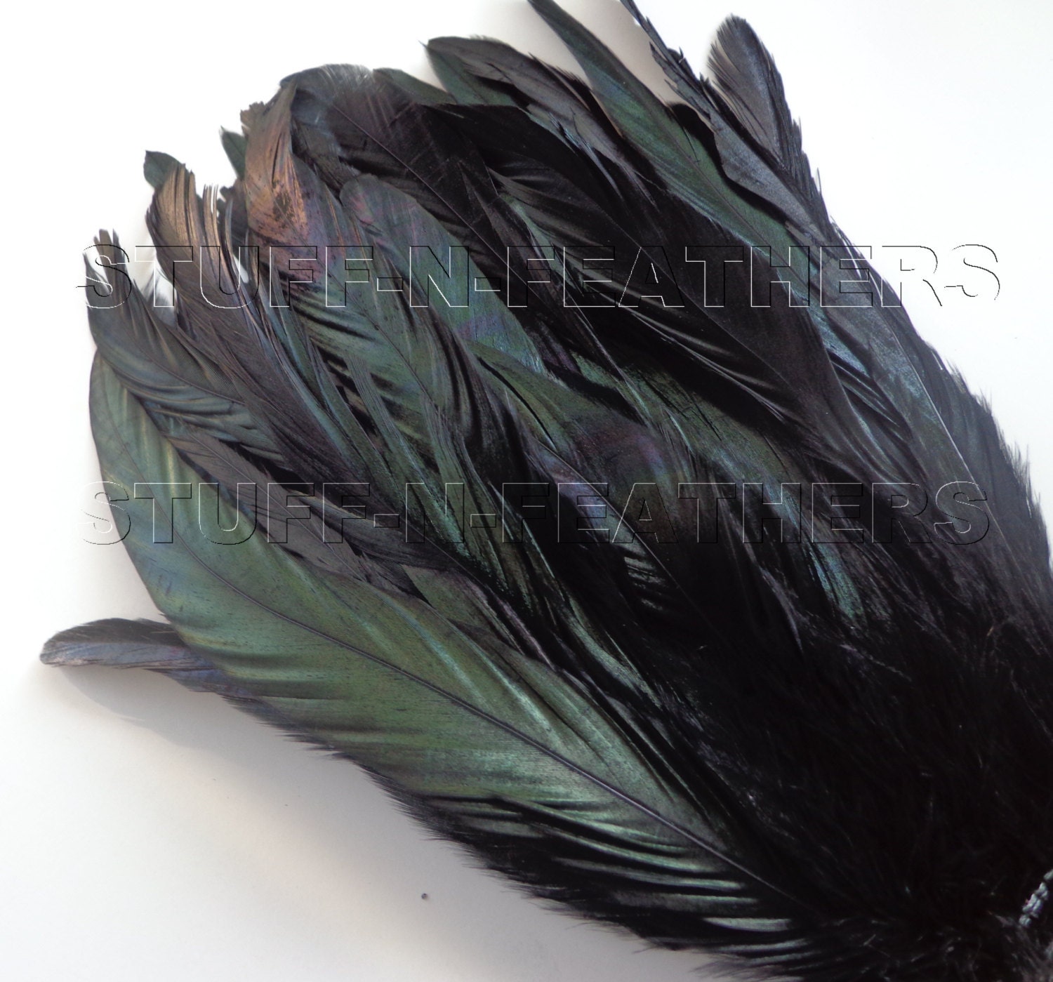 IRIDESCENT Black Coque feathers rooster tail feathers strung