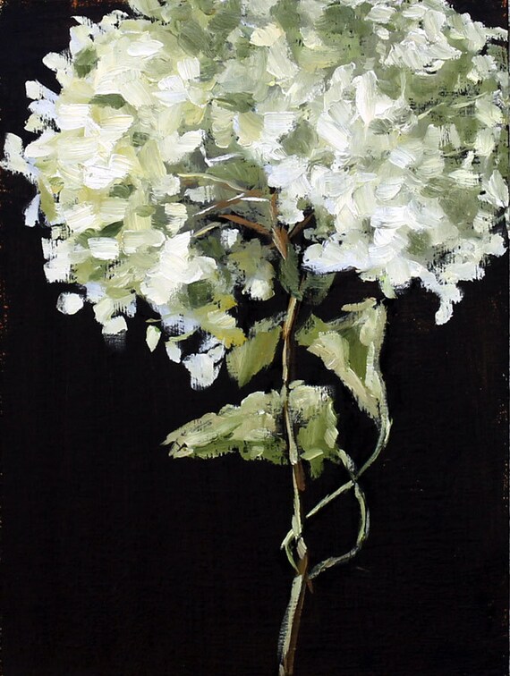 Still Life Painting, Hydrangea Flower, Original Oil on Wood Panel 