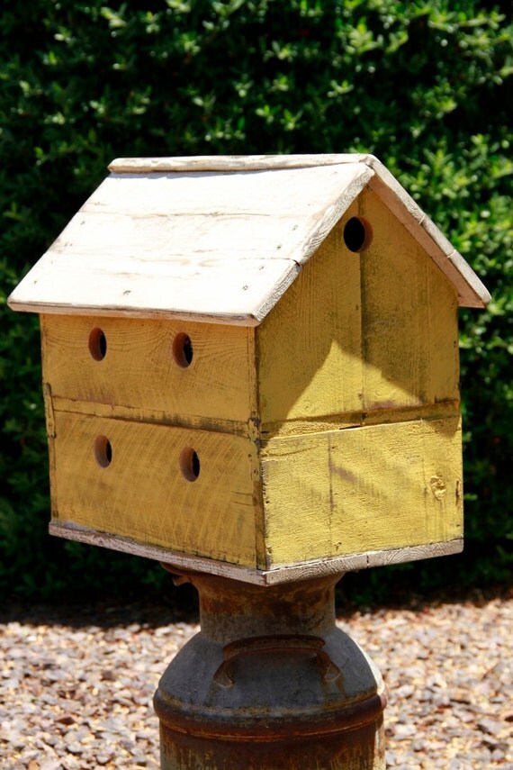 Vintage bird house antique style bird house Finch Bird