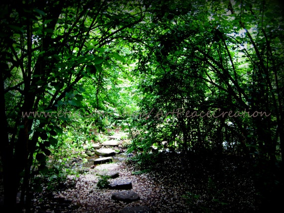 Follow the Fairy Path - 5x7 - original romantic / magical / nature photography
