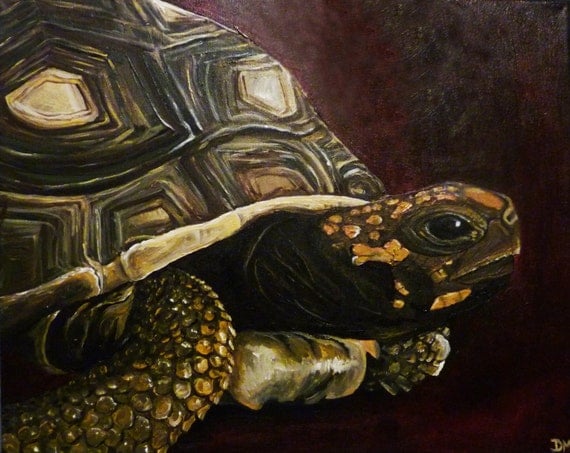 Tortoise Art Print