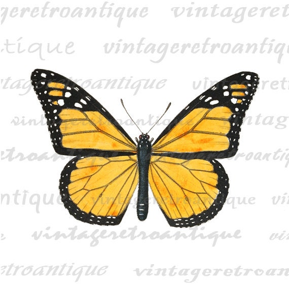 Printable Image Color Butterfly by VintageRetroAntique on Etsy