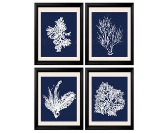 Coral Print Nautical Decor, White Blue Sea Coral Print Set of FOUR 5x7, Coral Wall Art, Coral Print, Sealife, Bathroom Decor, Nautical Art
