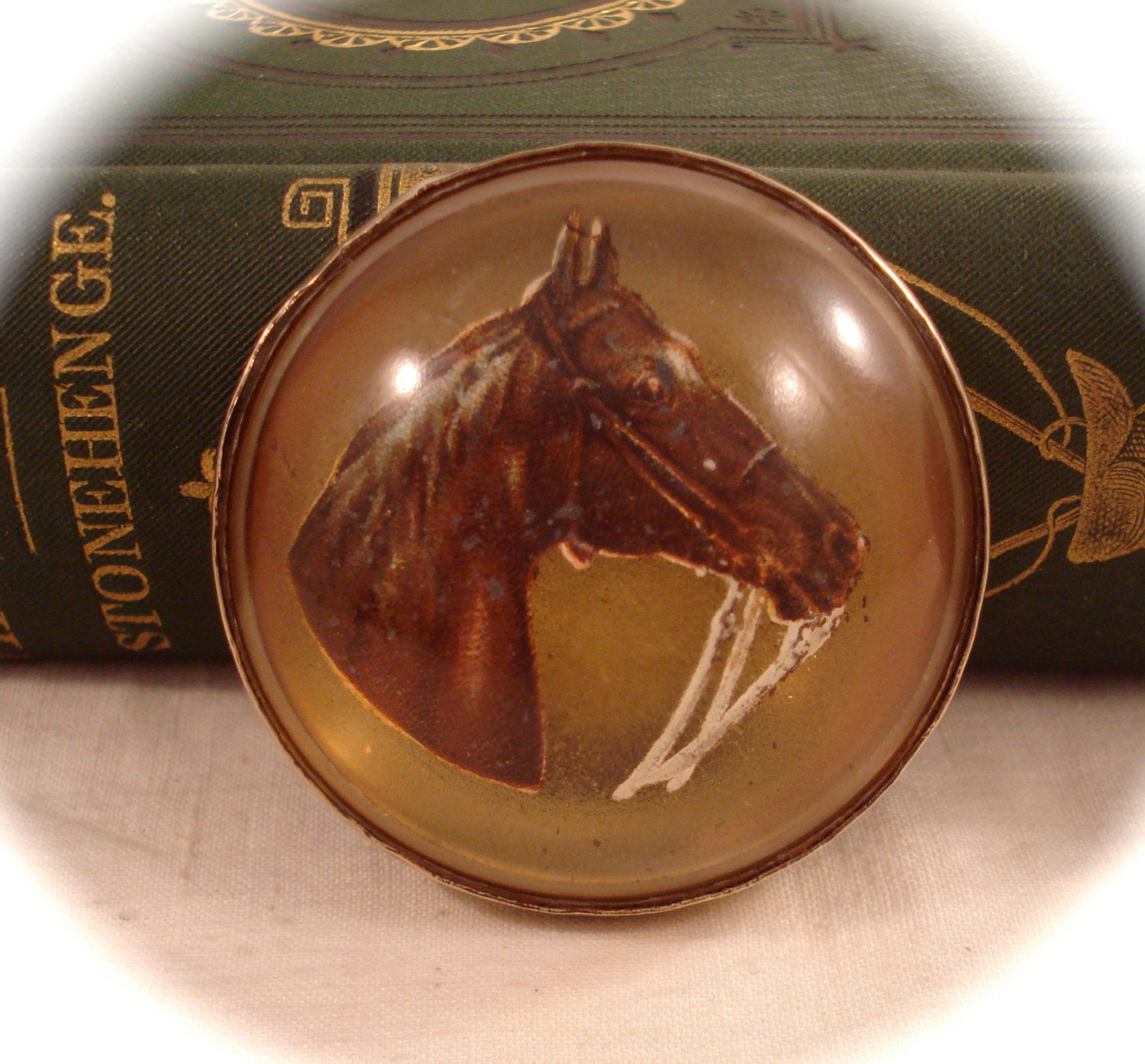 Vintage HORSE BRIDLE ROSETTE Pin Brass & Domed Glass Fox