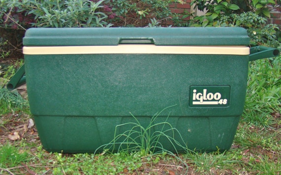 sportsman warehouse ice chest