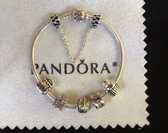 Authentic Pandora Charm BRACELET With Threaded Mixed materials beads