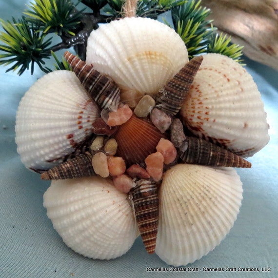 Items similar to White shell ornament with brown star center on Etsy