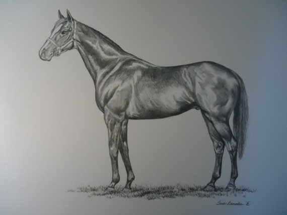 Items similar to pencil horse drawing on Etsy