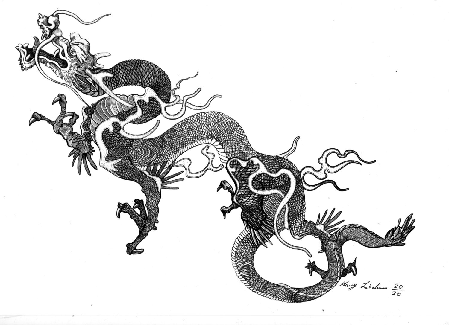 Chinese dragon drawing water dragon taken from a 19th century