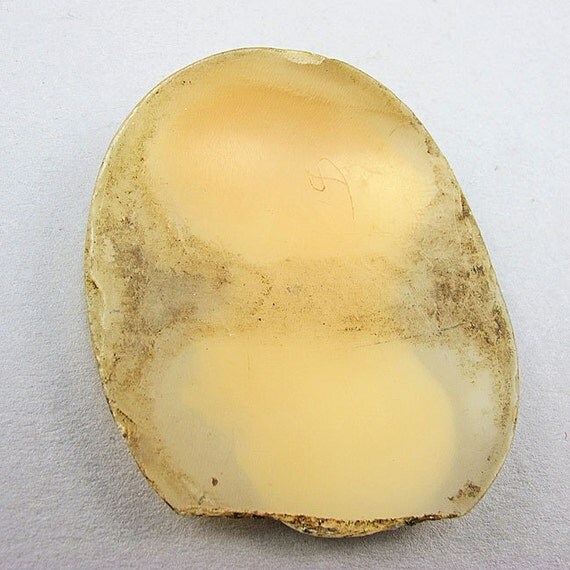 Antique Cameo Jewelry Supplies Victorian Carved Shell Cameo