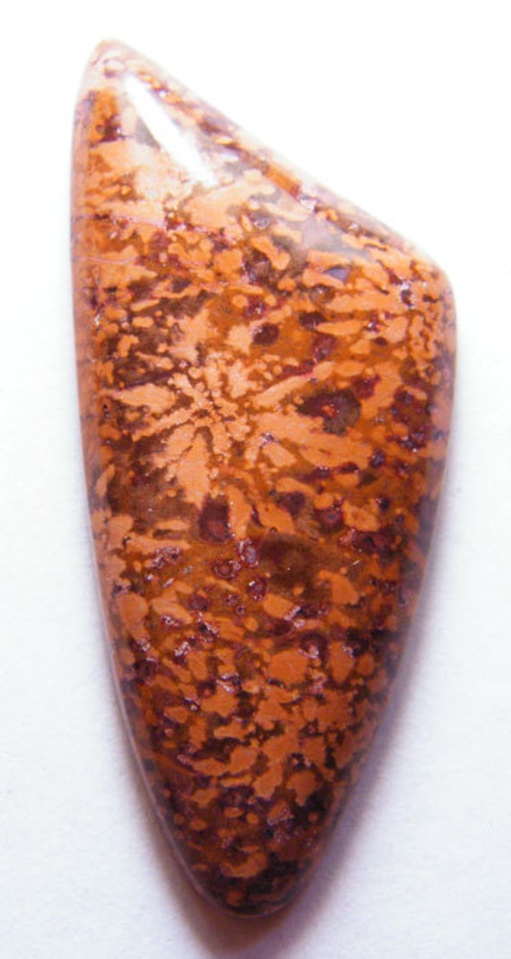 Beautiful chrysanthemum jasper cabochon E0331