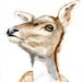 Original watercolor painting of a deer. Animal painting. Deer Zen drawing on paper by Michelle Dujardin