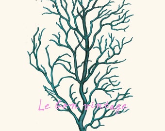 Png jpg a4 printable | Etsy