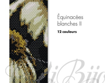 Équinacées blanches II - PATTERN