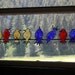 Birds on a Wire-SOLD