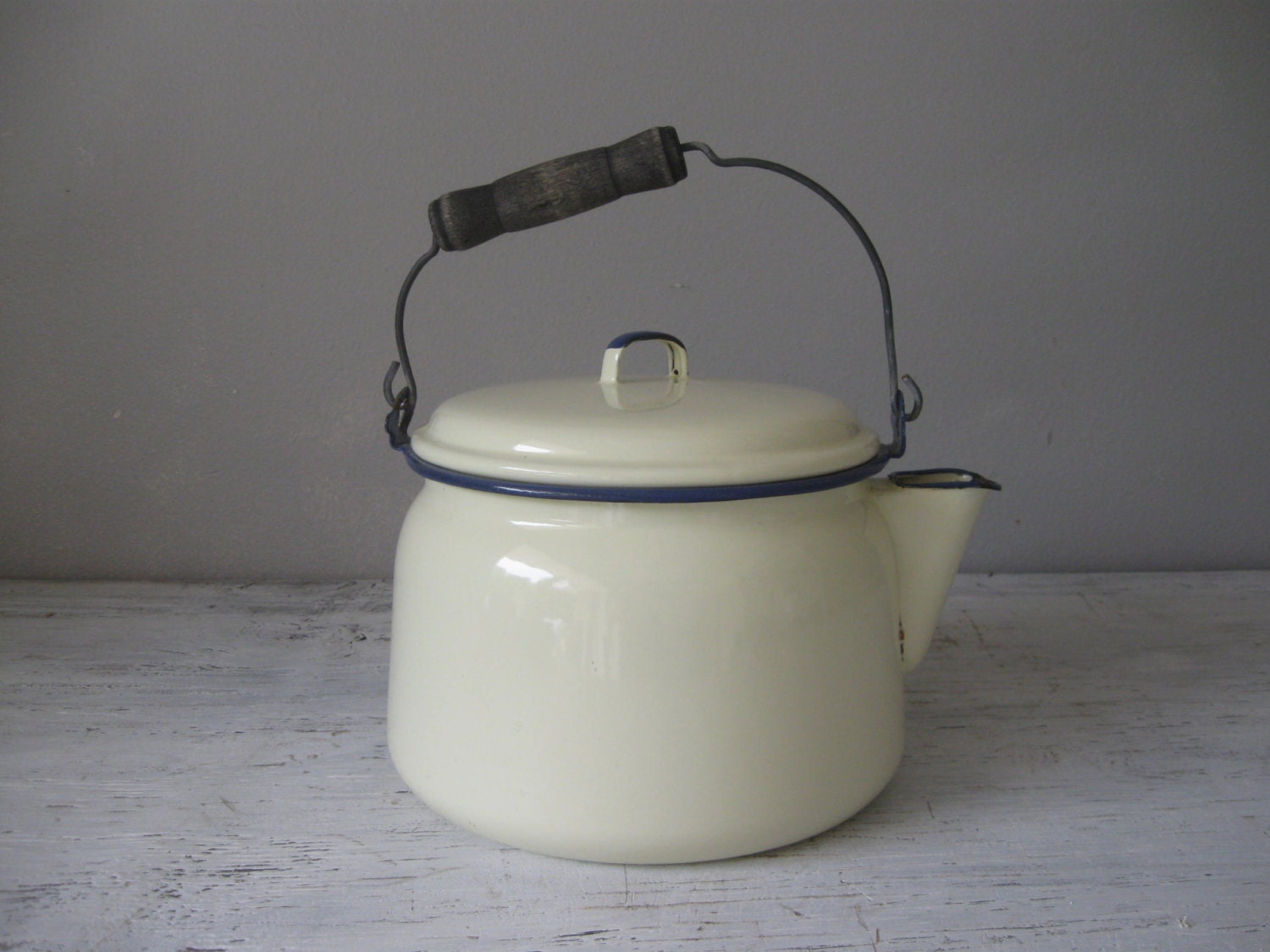 Vintage Enamel Teapot / Tea Kettle