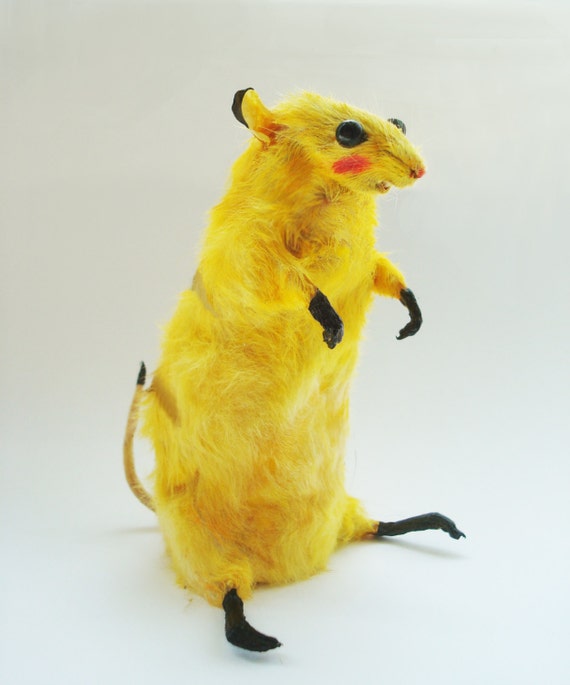 Pikachu Mouse taxidermy by DivyaTaxidermy on Etsy