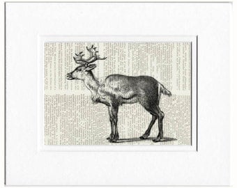 Reindeer dictionary page print