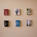 Tree Silhouettes - Series 4 Print Pack - 6 MOUNTED 5 x 7 Prints - Modern Design