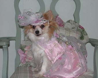 Dog bridesmaid dress - Etsy