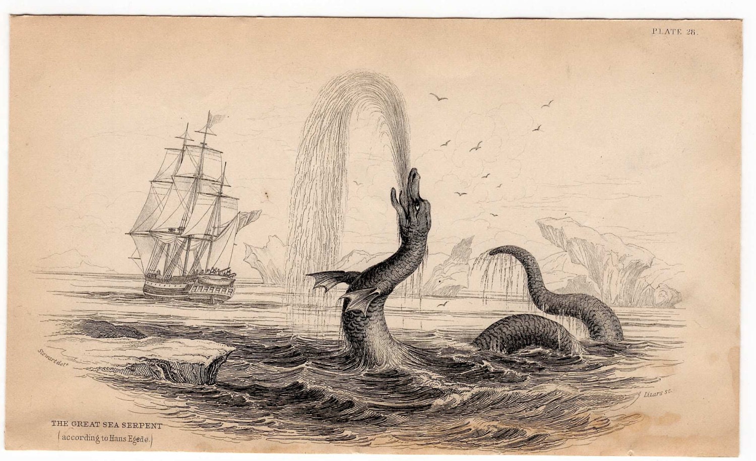Vintage Sea Monster Illustration