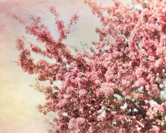Spring Cherry Blossoms, pastel decor for a nursery, fairy tale, wall art, pink woodland garden, yellow, Wonderland theme, 8x10