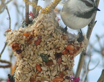 Bird Seed Feeder 1/4 lb. Star Shape ornament cake wreath
