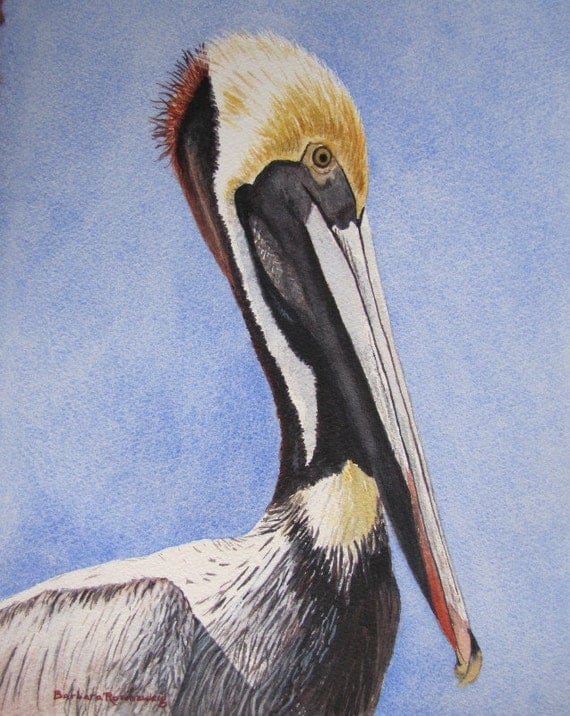 Brown Pelican Bird Portrait, Watercolor Painting, Seashore Wildlife Art ...