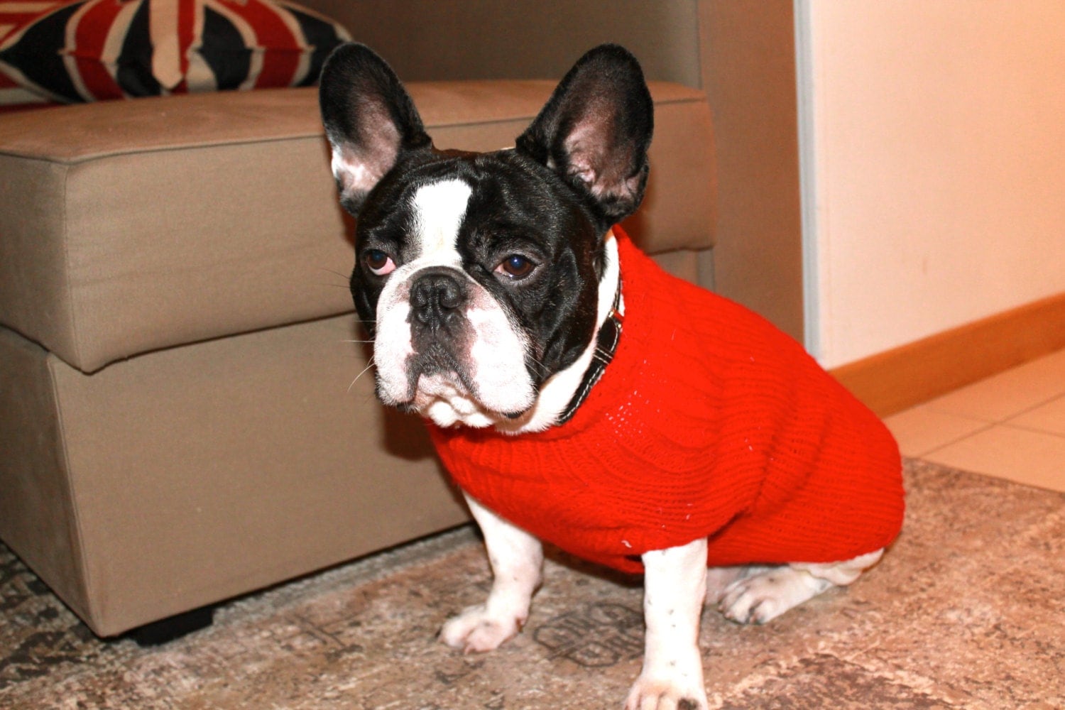 French Bulldog Red Knit Sweater for Dogs-Handmade /TRACKING