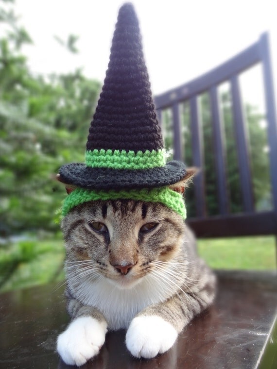 woman wearing tiny witch hat