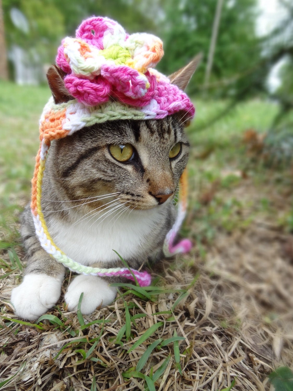 Flower Cat Hat Costume Cats and Small Dogs The Pretty
