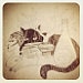 Kitty Blackwell