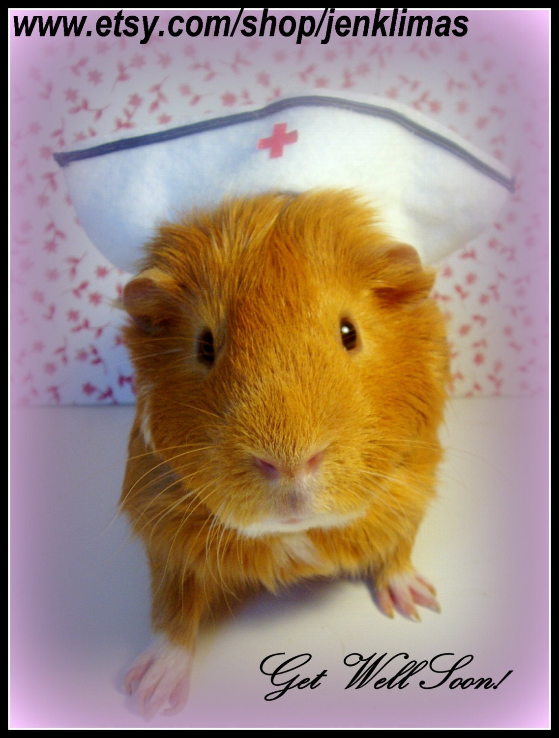 GUINEA PIG NURSE Get Well Soon 5pc Set Five Unique