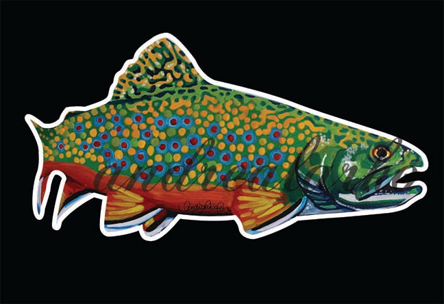 Rainbow Trout  Trout art, Fly fishing art, Fish drawings