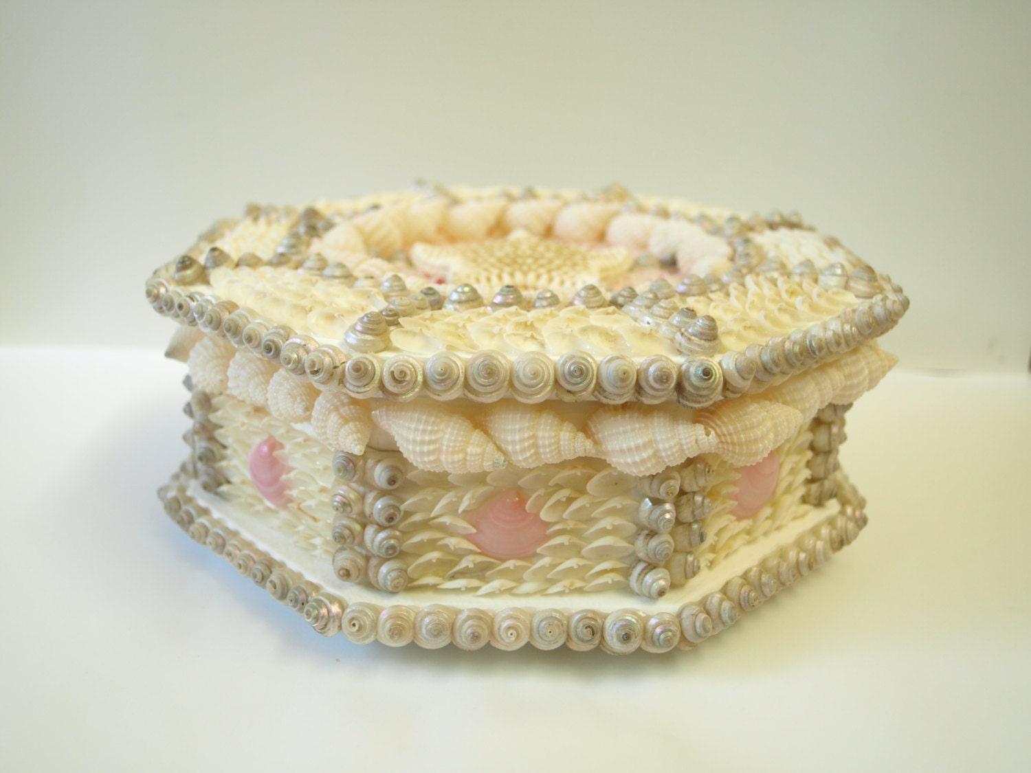 Seashell Box Vintage Shells Sailors Valentine Style Shell Box