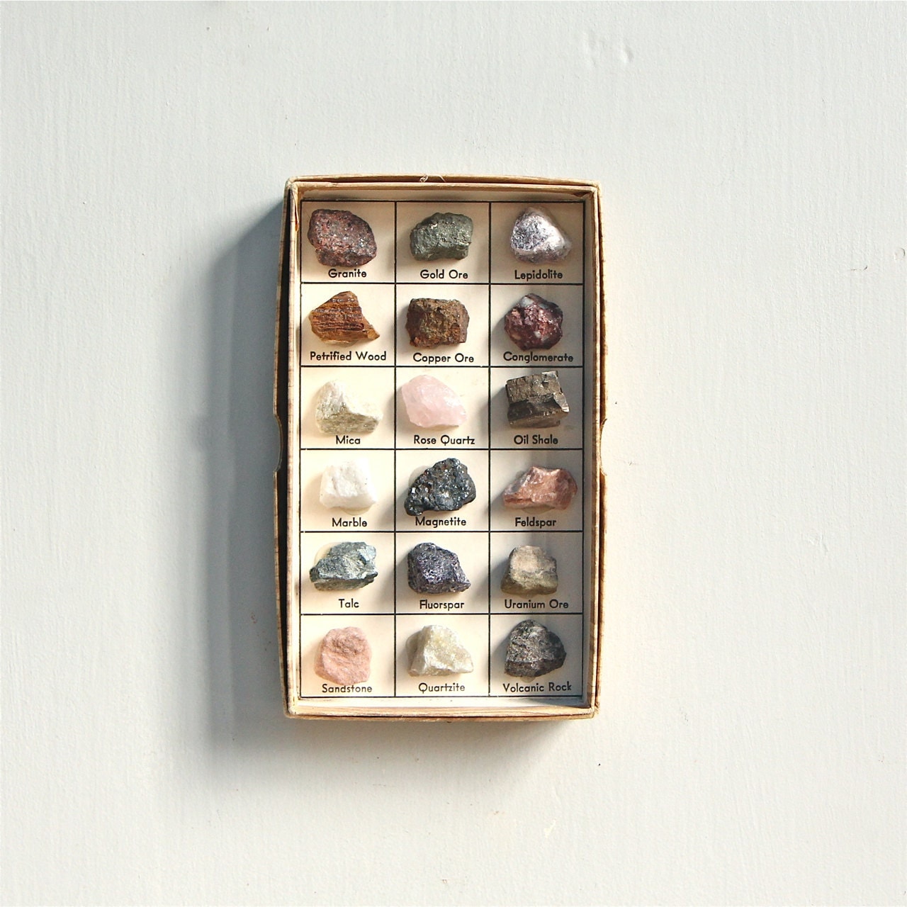 Vintage Rocks and Minerals Specimen Display / Shadowbox