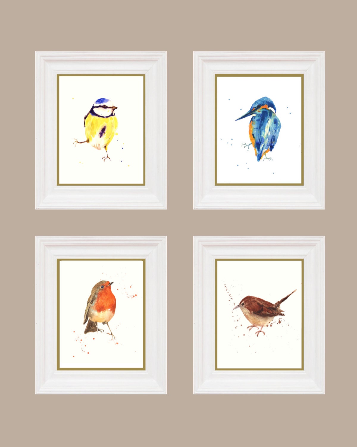 Set of BIRD prints watercolour birds EXTRA LARGE 11x14 inch