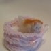 RESERVED Soft Kitty a Miniature Needle Fetled Fat Cat Kitten Orange White Creamsicle with Pink Bed