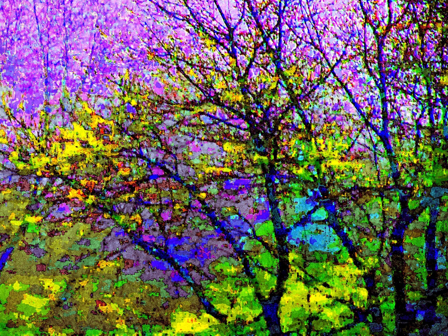 Purple Tree Majesty 4x6 Modern Fine Art Color Photography