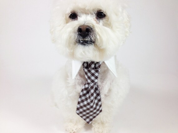 Items similar to dog tie- shirt and tie collar- faux knot tie- birthday ...