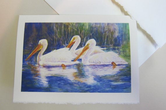 White Pelicans 5 x 7 note card print of original watercolor painting Florida migrating birds